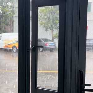 D1 Roller Screen Window