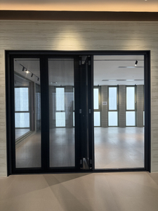 Innovative Washable Metal Door with Detachable Gauze Feature Suitable for Villas, Mansions And High-End Residences