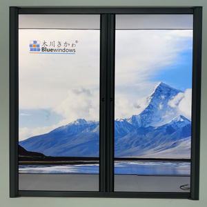 D1 Roller Screen Window