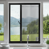 Stylish Metal Mosquito Screen Window with Premium Aesthetics for Home Decor